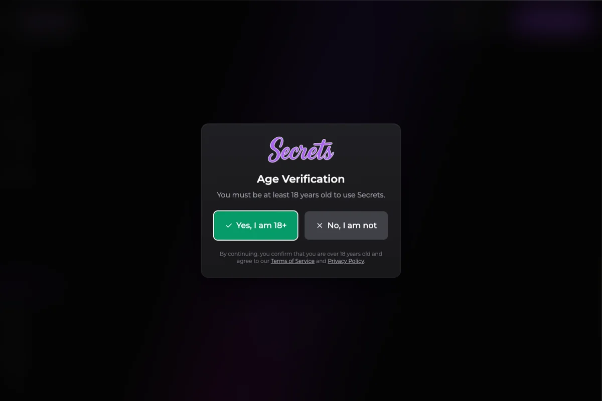 Interface de l'outil Secrets AI - avis, prix et limites