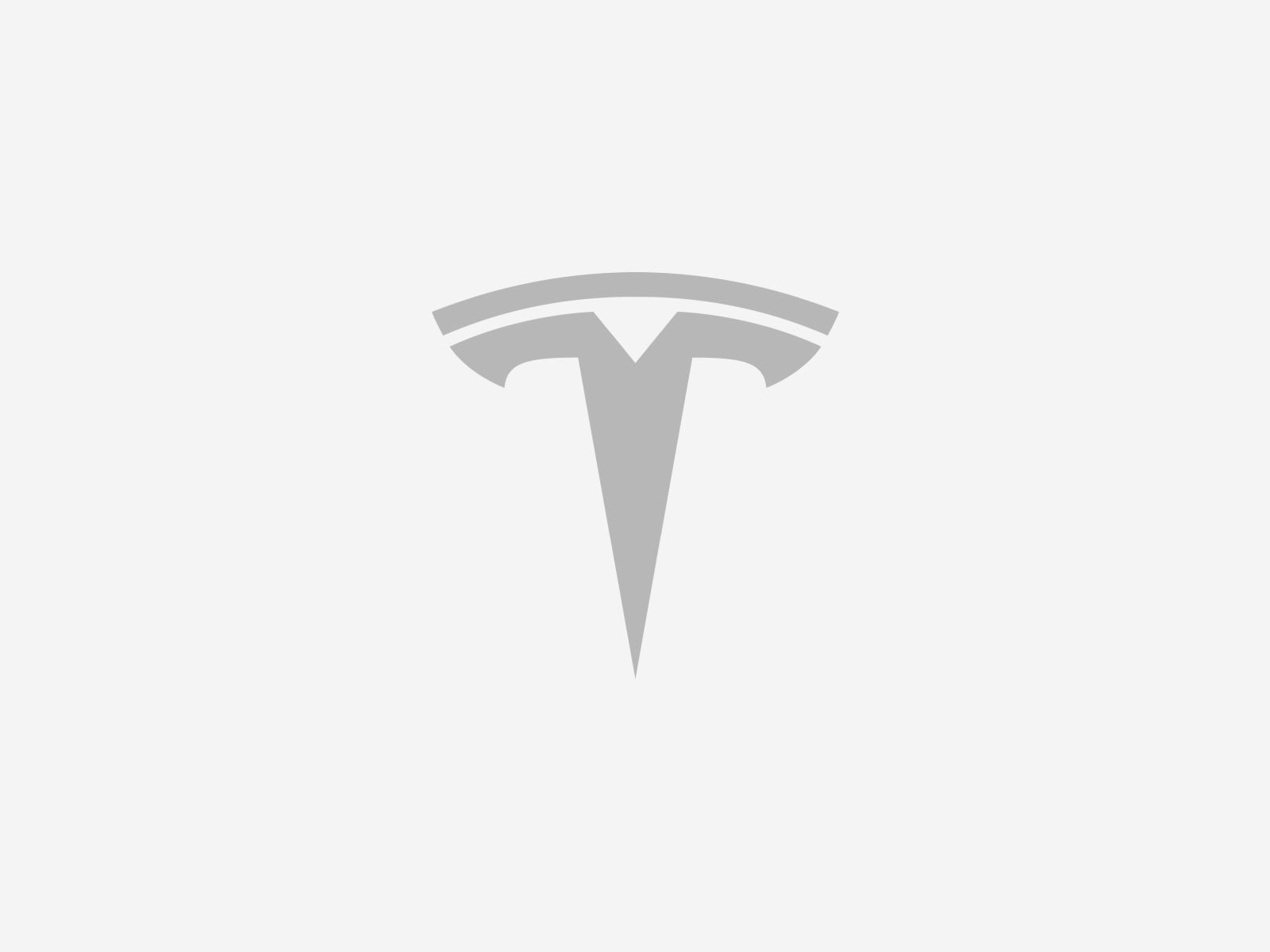 Logo Tesla AI